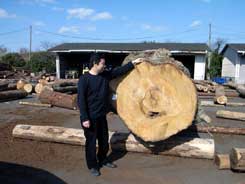 �s�錴�؎s��